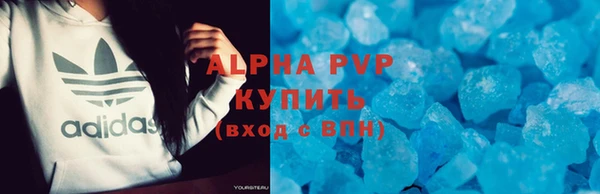 стаф Аркадак