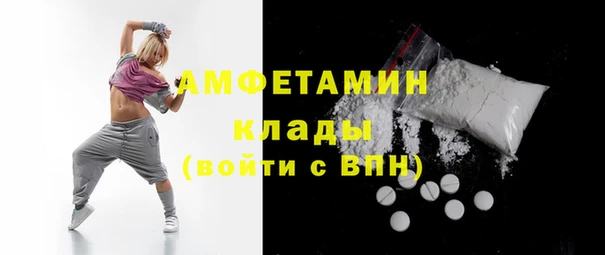 стаф Аркадак