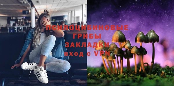 трава Армянск