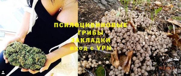 прущий лед Арсеньев