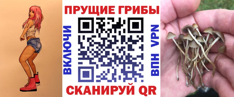 как найти   Сатка  Галлюциногенные грибы Cubensis 